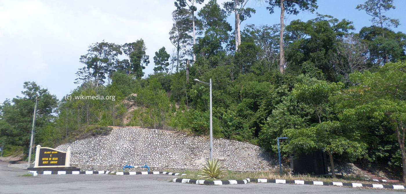  Bukit Langsat Recreational Forest