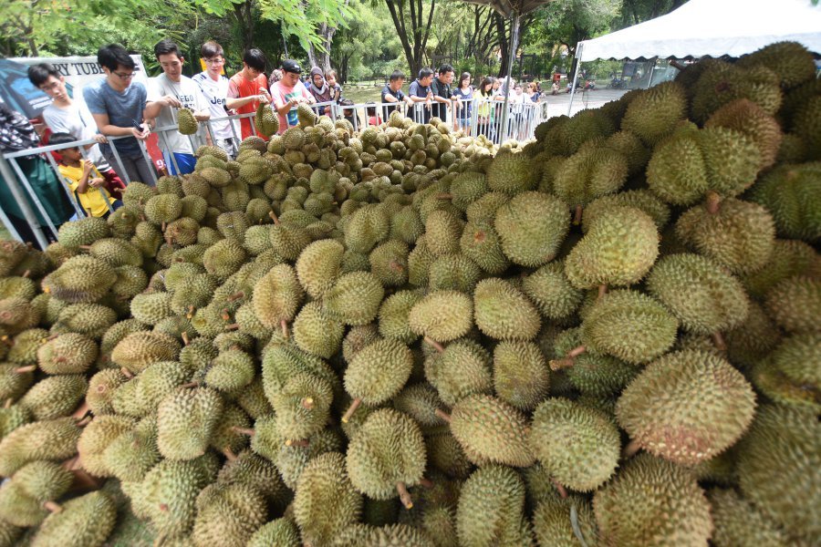 Pesta Durian Mahal