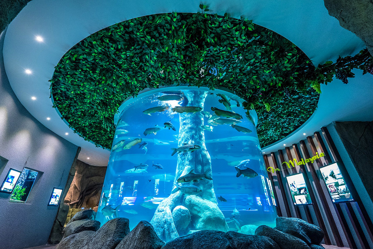 The Shore Aquarium